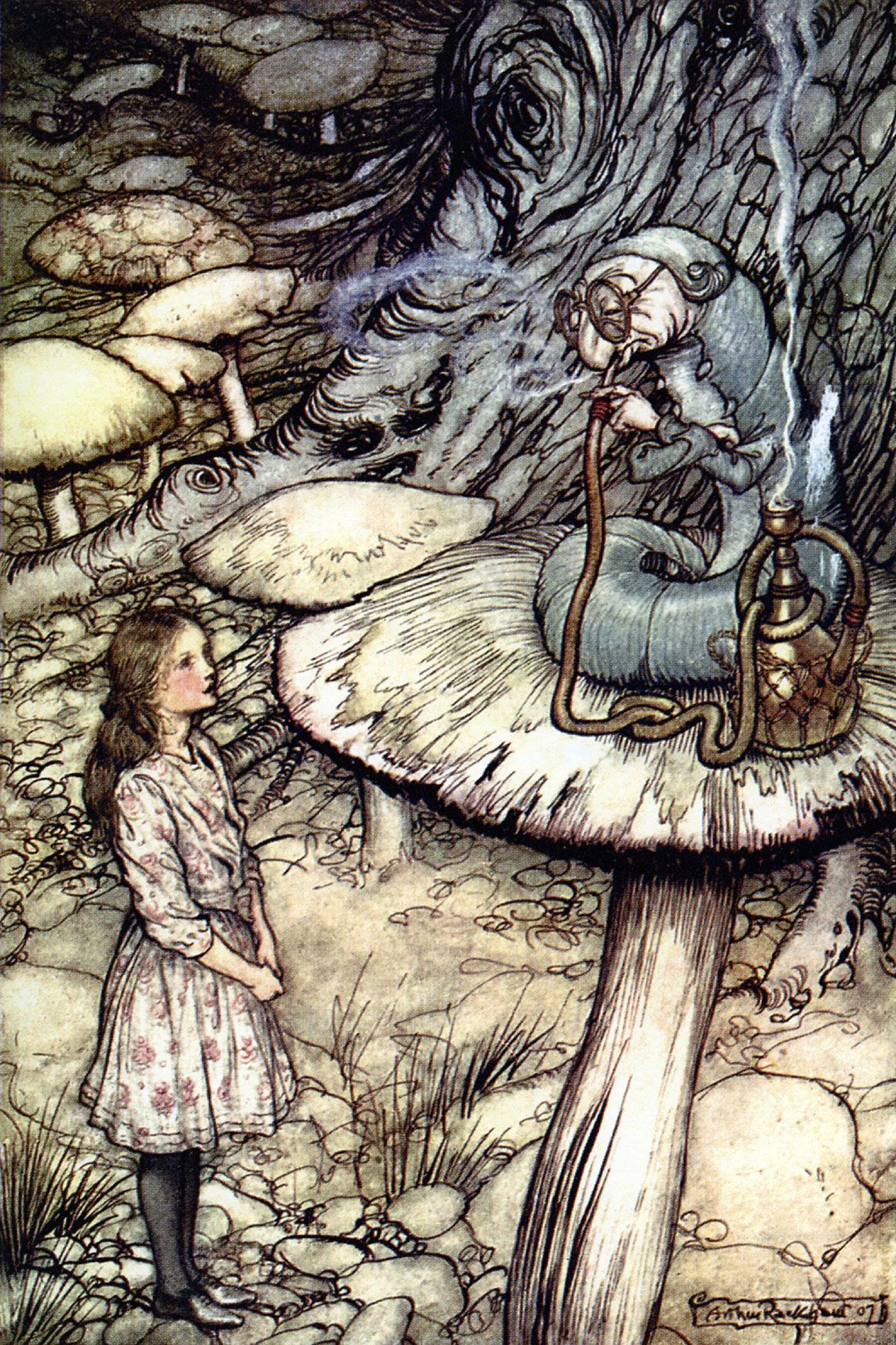 Advice from a Caterpillar by Arthur Rackham 13 x 19"